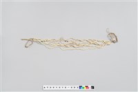 貝珠串頸飾藏品圖，第4張